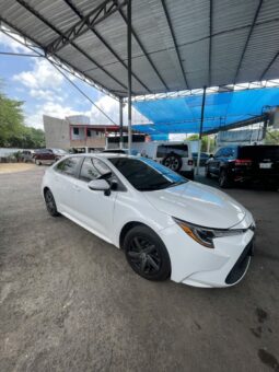 
TOLLOTA COROLLA 2020 full									