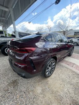 
BMW X6 2021 full									