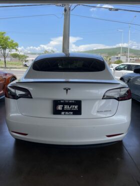 TESLA MODEL 3 PERFORMANCE 2019 AUT