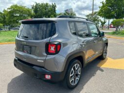 
JEEP RENEGADE 2021 full									