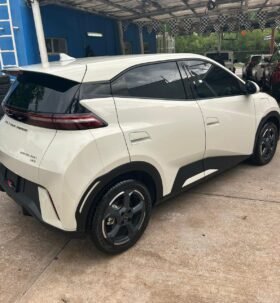 BYD DOLPHINE MINI HATCHBACK 2025 AUT