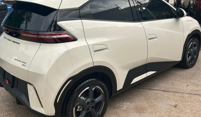 
BYD DOLPHINE MINI HATCHBACK 2025 AUT full									