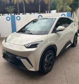 BYD DOLPHINE MINI HATCHBACK 2025 AUT