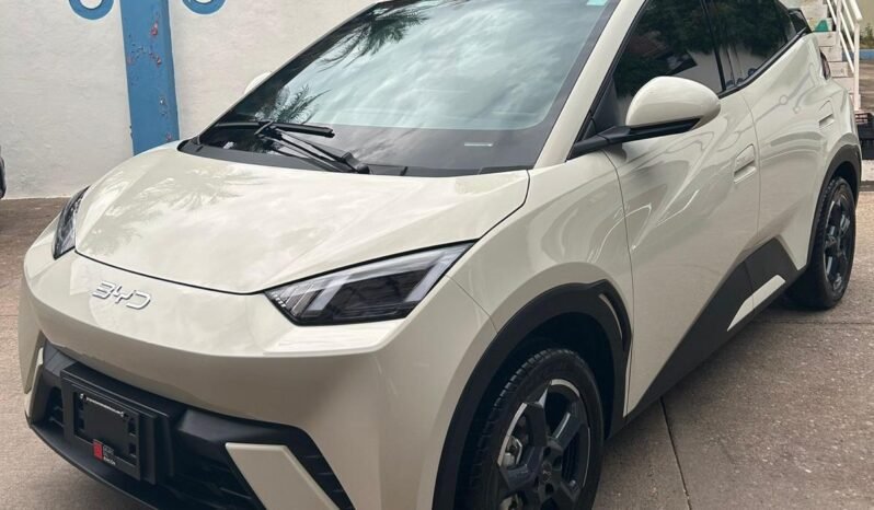 
BYD DOLPHINE MINI HATCHBACK 2025 AUT full									