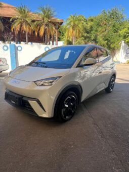 BYD DOLPHY MINI PLUS HATCHBACK 2025 AUT full