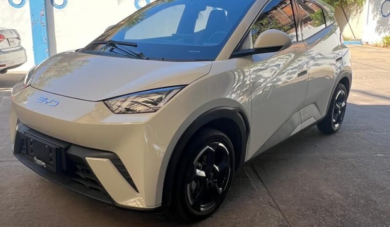 
BYD DOLPHY MINI PLUS HATCHBACK 2025 AUT full									