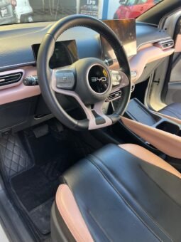 BYD DOLPHY MINI PLUS HATCHBACK 2025 AUT full