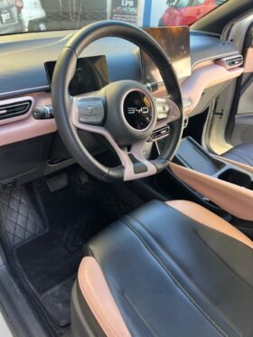 BYD DOLPHY MINI PLUS HATCHBACK 2025 AUT