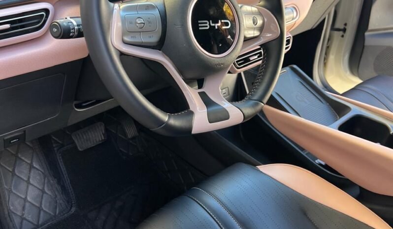 
BYD DOLPHY MINI PLUS HATCHBACK 2025 AUT full									