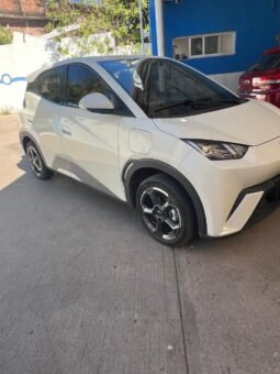 BYD DOLPHY MINI PLUS HATCHBACK 2025 AUT full