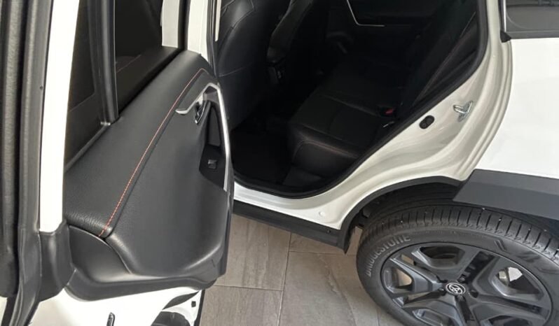 
TOYOTA RAV-4 ADVENTURE SUV 2024 AUT full									