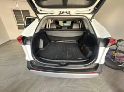 
TOYOTA RAV-4 ADVENTURE SUV 2024 AUT full									