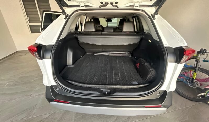 
TOYOTA RAV-4 ADVENTURE SUV 2024 AUT full									