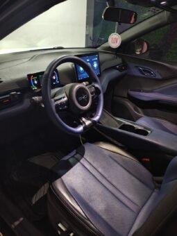 
BYD DOLPHINE MINI PLUS HATCHBACK 2025 AUT full									