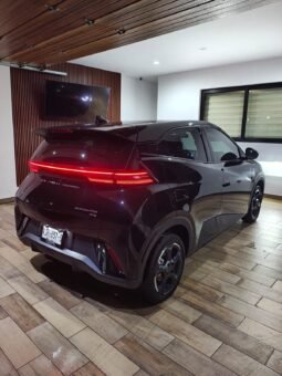 
BYD DOLPHINE MINI PLUS HATCHBACK 2025 AUT full									