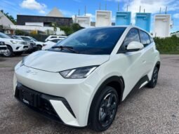 BYD DOLPHINE MINI HATCHBACK 2025 AUT full