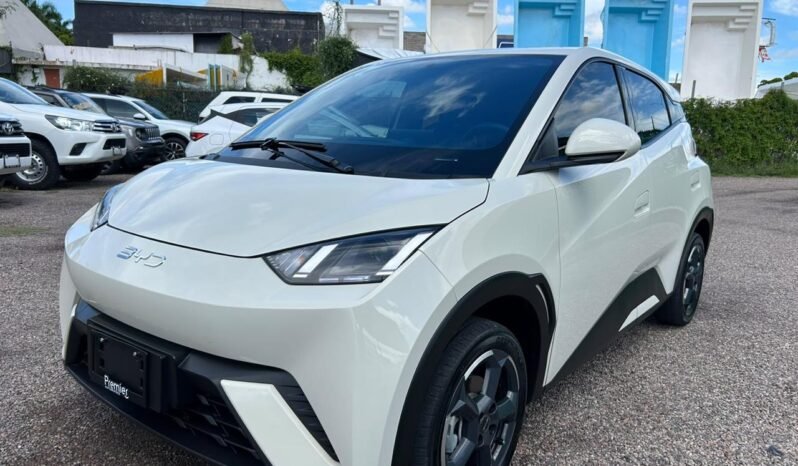 
BYD DOLPHINE MINI HATCHBACK 2025 AUT full									