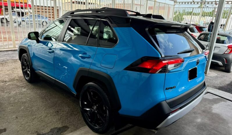 
TOYOTA RAV-4 SUV 2019 AUT full									