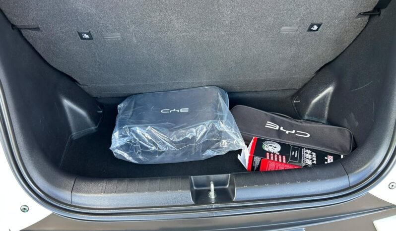 
BYD DOLPHINE MINI HATCHBACK 2025 AUT full									